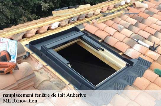 remplacement fenêtre de toit  51600