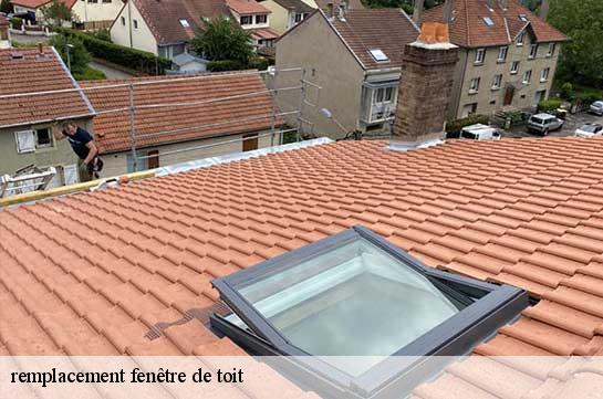 remplacement fenêtre de toit  51500