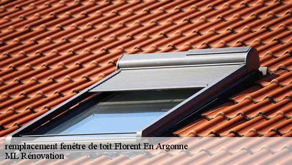 remplacement fenêtre de toit  florent-en-argonne-51800 ML Rénovation