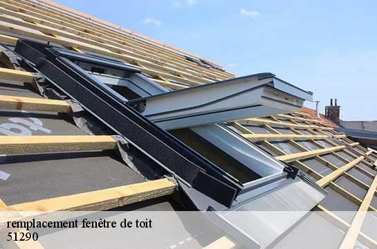 remplacement fenêtre de toit  51290