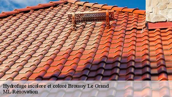 Hydrofuge incolore et coloré  broussy-le-grand-51230 ML Rénovation