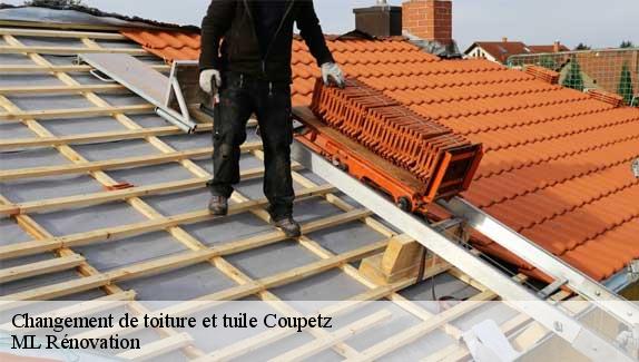 Changement de toiture et tuile  coupetz-51240 ML Rénovation