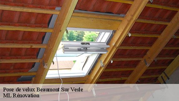 Pose de velux  51360