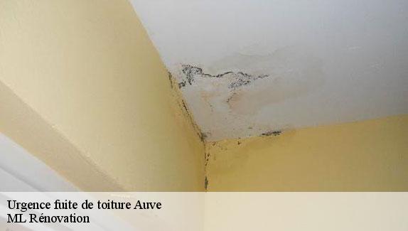 Urgence fuite de toiture  51800