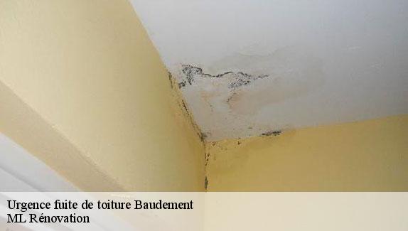 Urgence fuite de toiture  baudement-51260 ML Rénovation