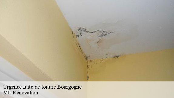 Urgence fuite de toiture  51110