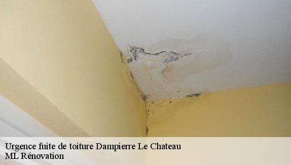 Urgence fuite de toiture  51330