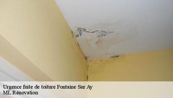 Urgence fuite de toiture  51160