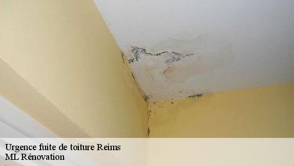 Urgence fuite de toiture  51100