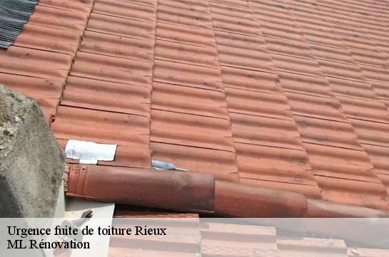 Urgence fuite de toiture  51210