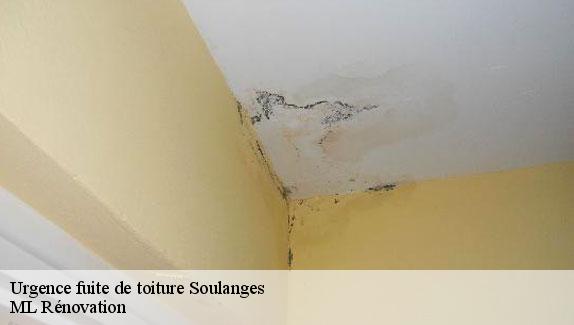 Urgence fuite de toiture  51300