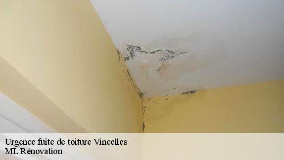 Urgence fuite de toiture  51700