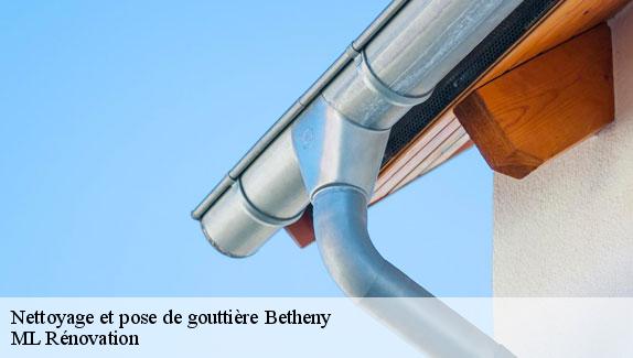 Nettoyage et pose de gouttière  51450