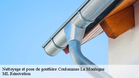 Nettoyage et pose de gouttière  coulommes-la-montagne-51390 ML Rénovation