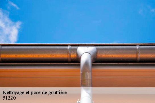 Nettoyage et pose de gouttière  51220