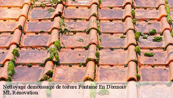 Nettoyage demoussage de toiture  fontaine-en-dormois-51800 ML Rénovation