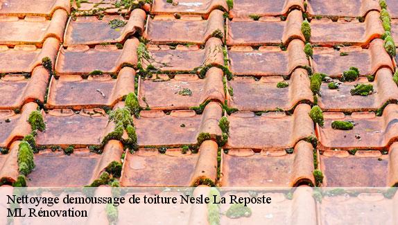 Nettoyage demoussage de toiture  51120