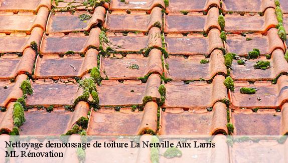 Nettoyage demoussage de toiture  la-neuville-aux-larris-51480 ML Rénovation