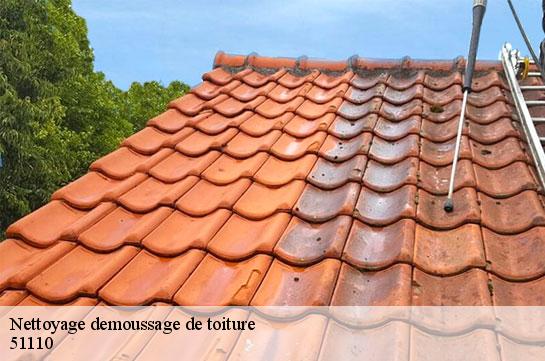 Nettoyage demoussage de toiture  51110