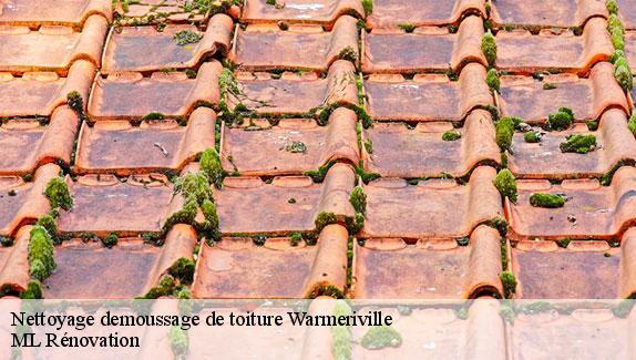 Nettoyage demoussage de toiture  warmeriville-51110 ML Rénovation